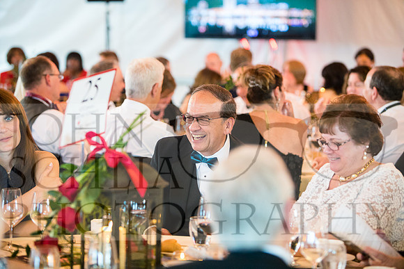 2018-rochester-heart-ball-95-web