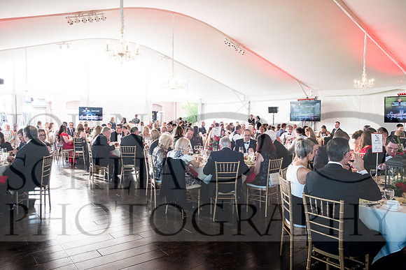 2018-rochester-heart-ball-45-web