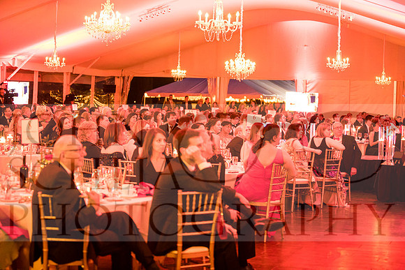2018-rochester-heart-ball-131-web