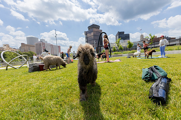 250624-yoga_322
