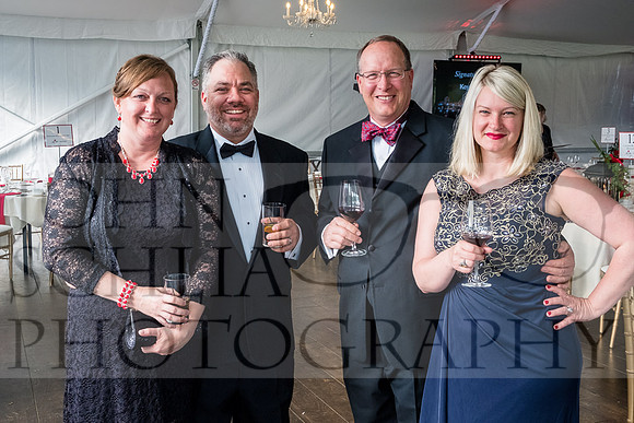 2018-rochester-heart-ball-23-web