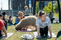 250916-yoga_180