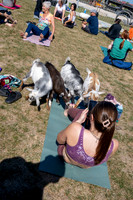 250930-yoga_0283