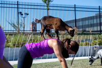 250930-yoga_0341