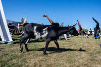 250930-yoga_0012