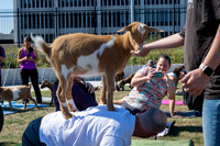 250930-yoga_0053