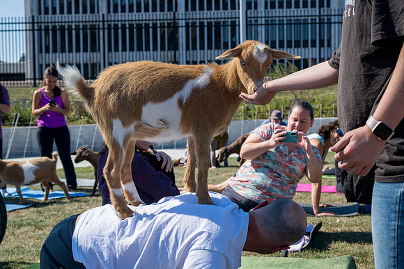 250930-yoga_0053