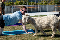 250930-yoga_0074