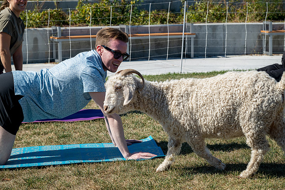 250930-yoga_0074