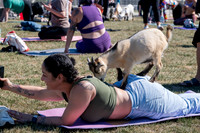 250930-yoga_0116