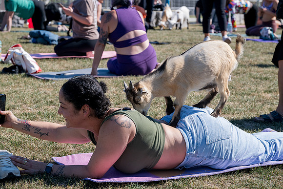 250930-yoga_0116