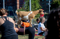 250930-yoga_0136