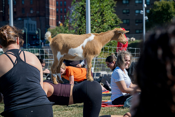 250930-yoga_0136