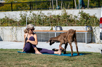 250930-yoga_0226