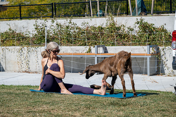 250930-yoga_0226