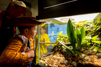 zoo-spooktacular-2025_1443