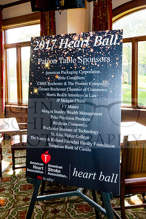 2017-heart-ball_schlia-12