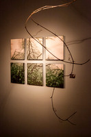 john-schlia-photography-germination-14-011