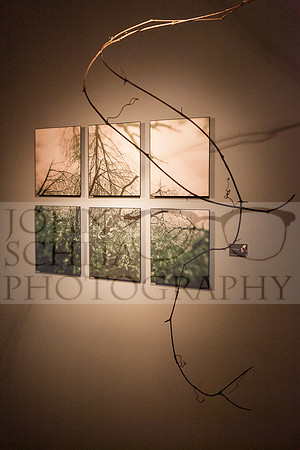 john-schlia-photography-germination-14-011