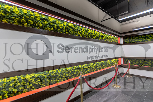 serendipity-rochester_001