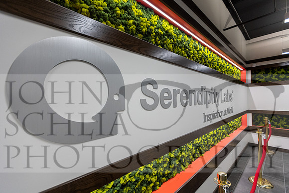 serendipity-rochester_002