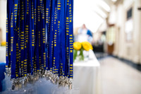 2017-esm-meliora-1