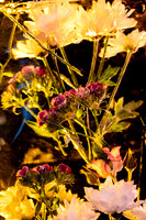 rpo-gala-2026_0010-1