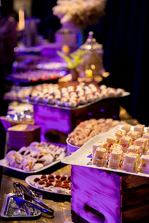 rpo-gala-2026_0903-1