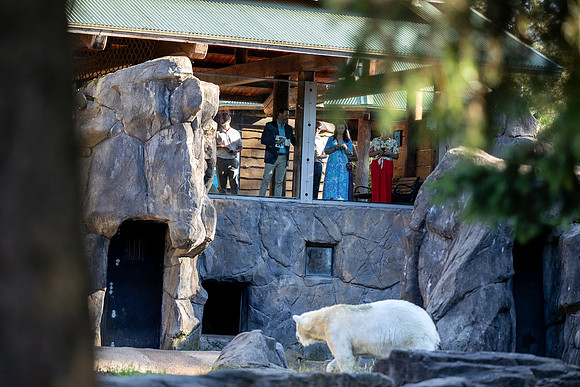 zoobilation-2026_0465