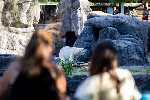 zoobilation-2026_0474