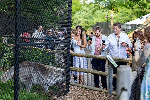 zoobilation-2026_0658