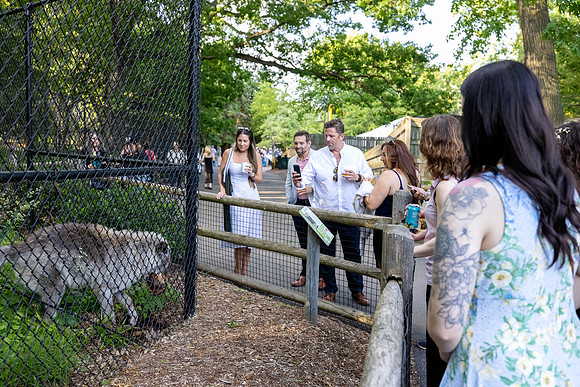 zoobilation-2026_0653