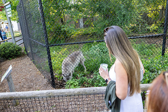zoobilation-2026_0664