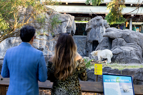 zoobilation-2026_0713