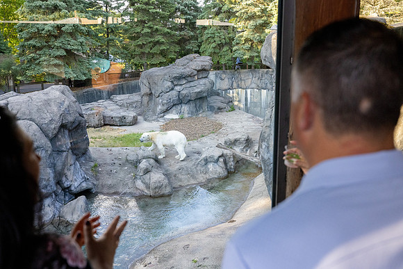 zoobilation-2026_0699