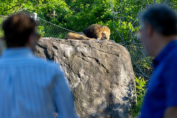 zoobilation-2026_0751