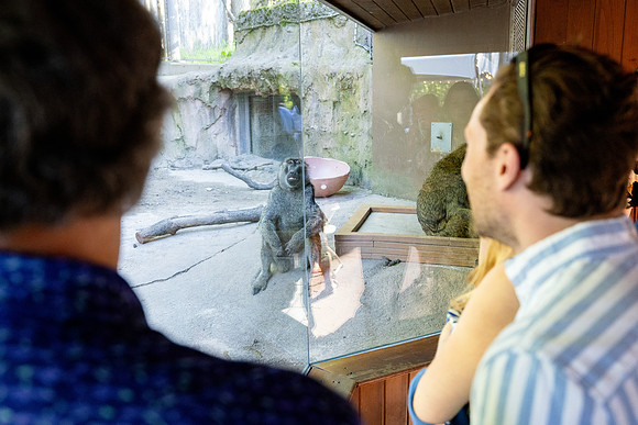 zoobilation-2026_0775