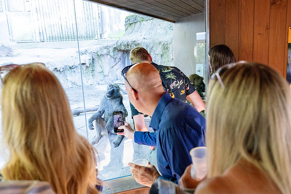 zoobilation-2026_0789