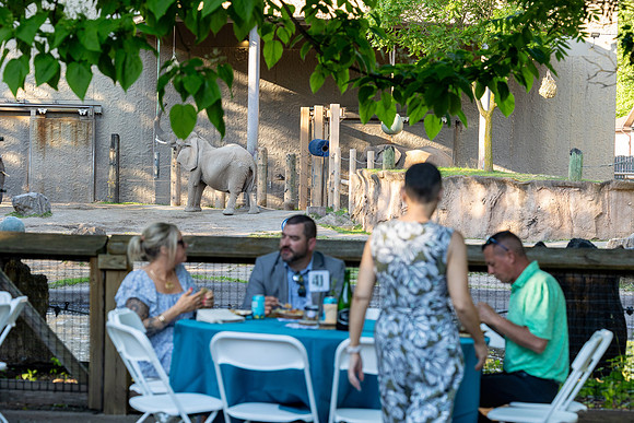 zoobilation-2026_0844