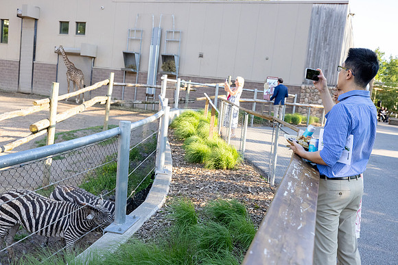 zoobilation-2026_0895