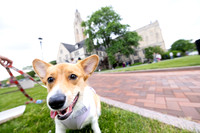 yappy-hour-0626_111-1