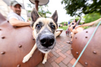 yappy-hour-0626_019-1