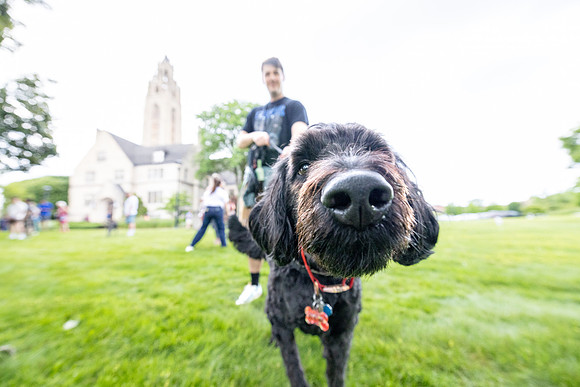 yappy-hour-0626_085-1