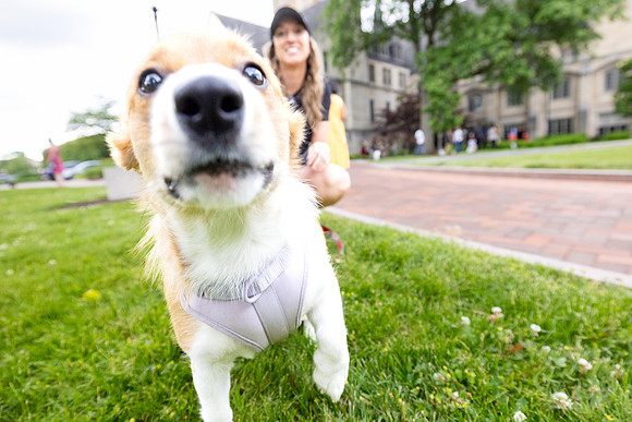 yappy-hour-0626_093-1