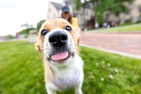 yappy-hour-0626_095-1