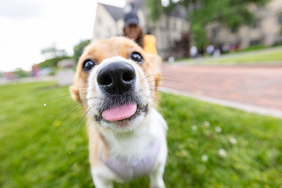 yappy-hour-0626_095-1