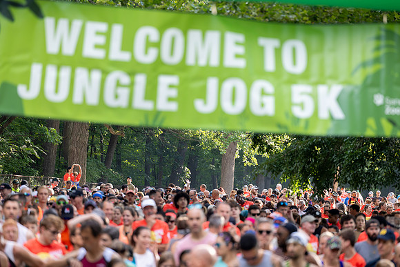 jungle-jog-2026_0242