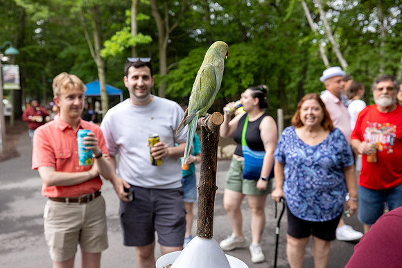 zoobrew-0826_0026