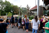 zoobrew-0826_0116