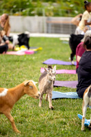 rddc-yoga-0826_178
